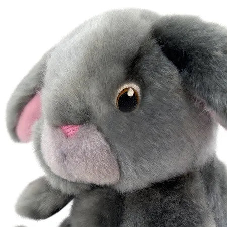 Toughz Bunny