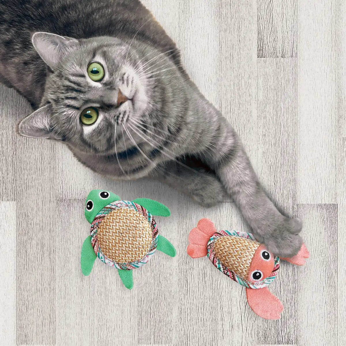 Tropics Pals 2-pk
