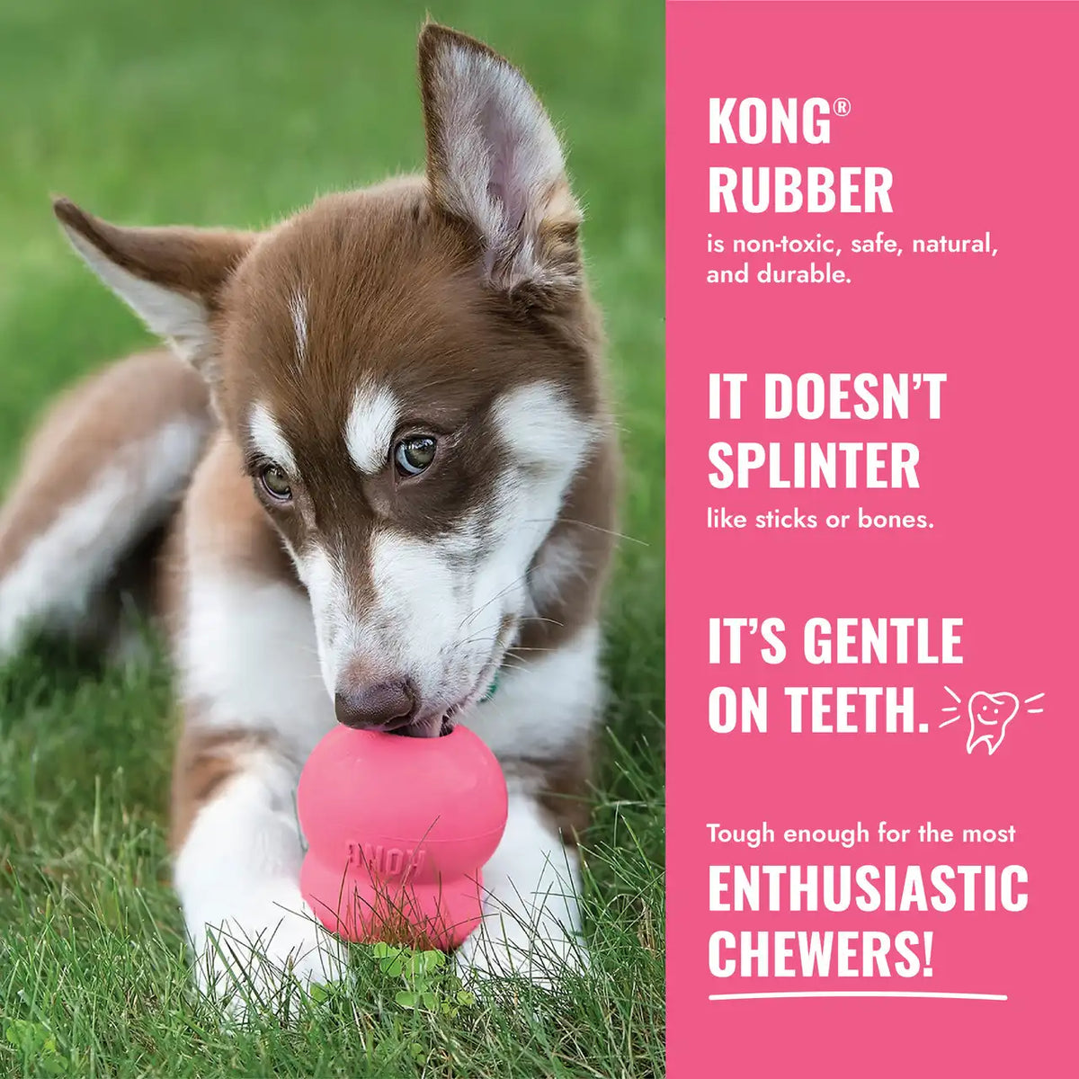 KONG Binkie Pink