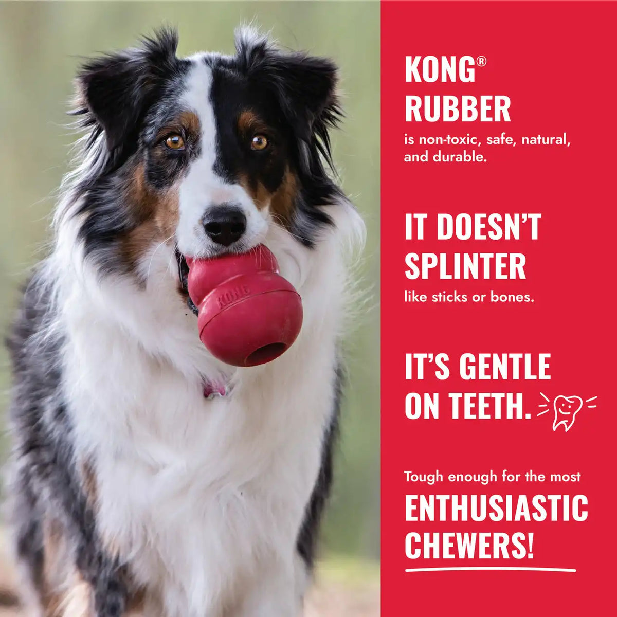 KONG Goodie Bone