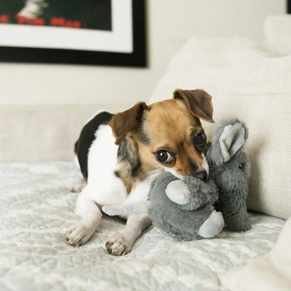 Comfort Kiddos Elephant