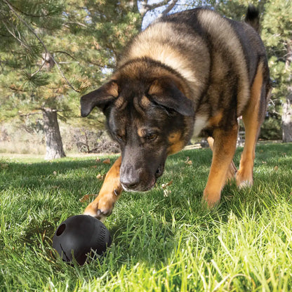 KONG Extreme Ball