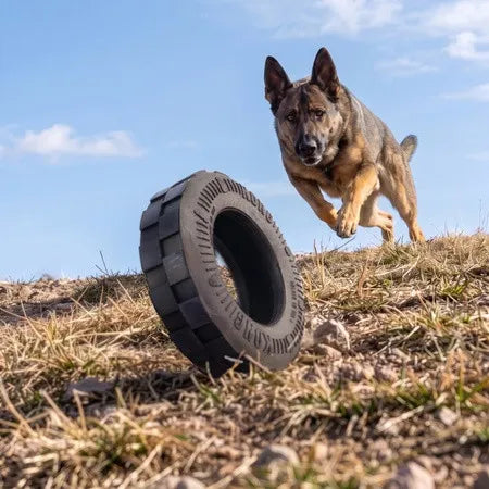 KONG Extreme Tires