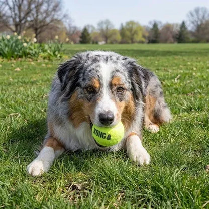 SqueakAir Balls, 3 Pack