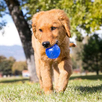 Squeezz Ball, Assorted Colors