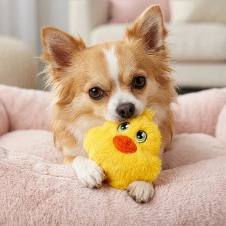 Snuzzles Mini Duck