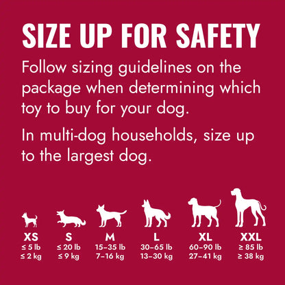 KONG Classic