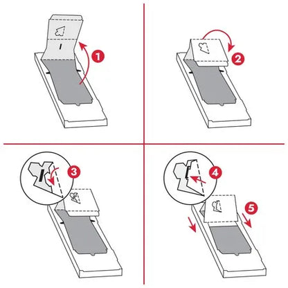 Naturals Pop-Up Incline Scratcher