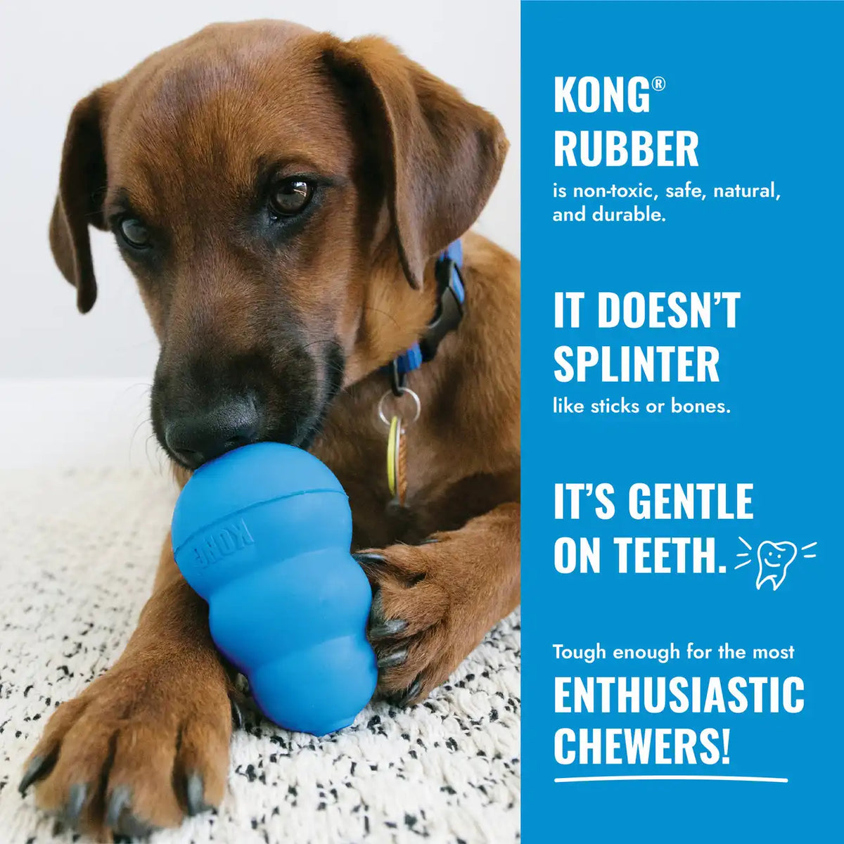 KONG Binkie Blue