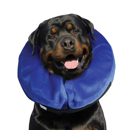 E-Collar Cloud