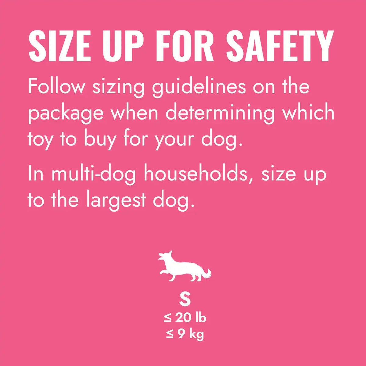 KONG Puppy Flyer, Pink