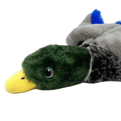 Wild Low Stuff Mallard